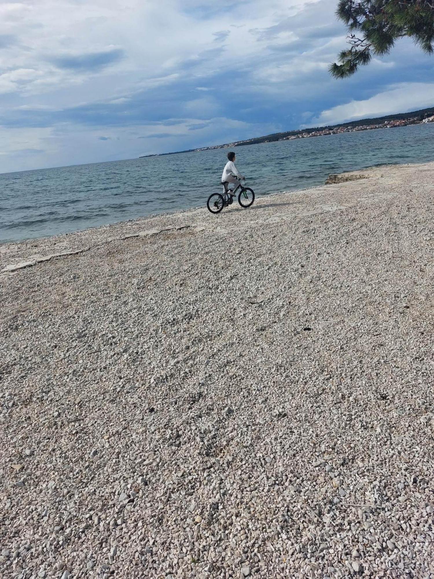 Eva Apartman *