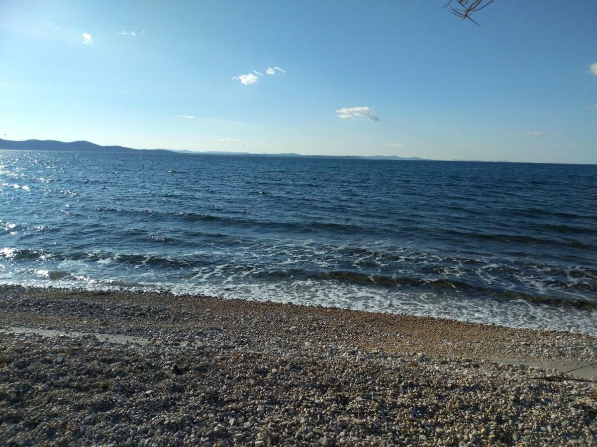 Eva * Zadar